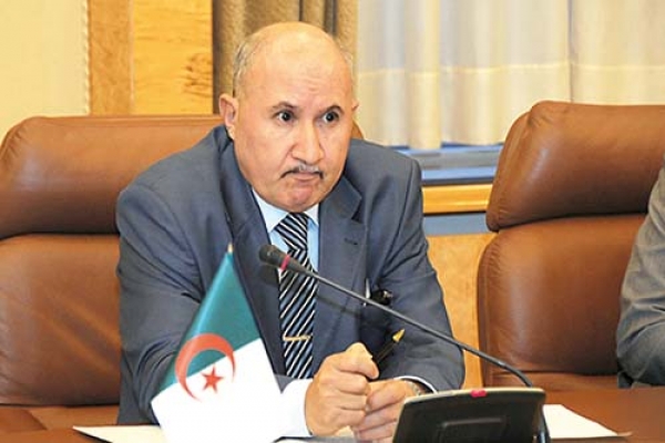نوري يستبعد بقاء أسواق الماشية مغلقة إلى غاية عيد الأضحى