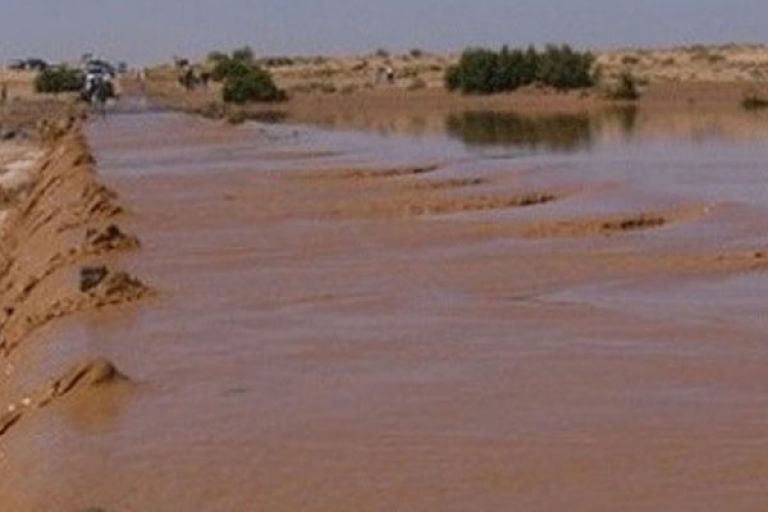 أمطار غزيرة تسببت في عدة خسائر