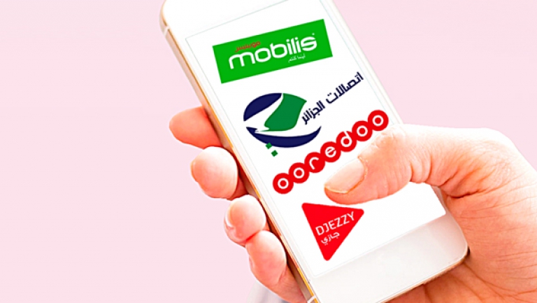 شركات مواطنة تزرع الاستثمار والنجاح.. ومناصب العمل