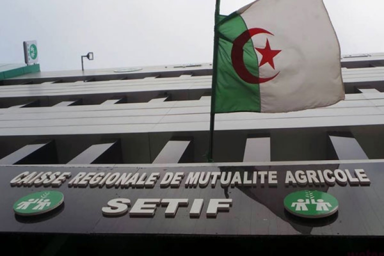مضاعفة رقم الأعمال إلى 43 مليارا في 3 سنوات
