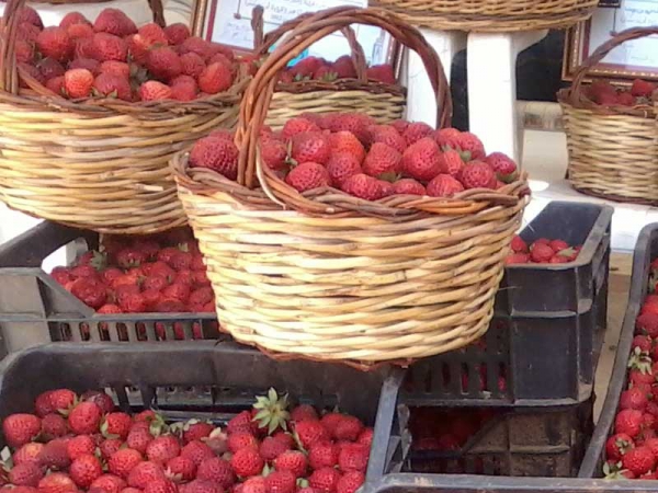 جودة المنتوج ونكهة الذوق