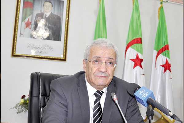 محمد السعيد يدعو إلى بناء دولة بمؤسسات قوية