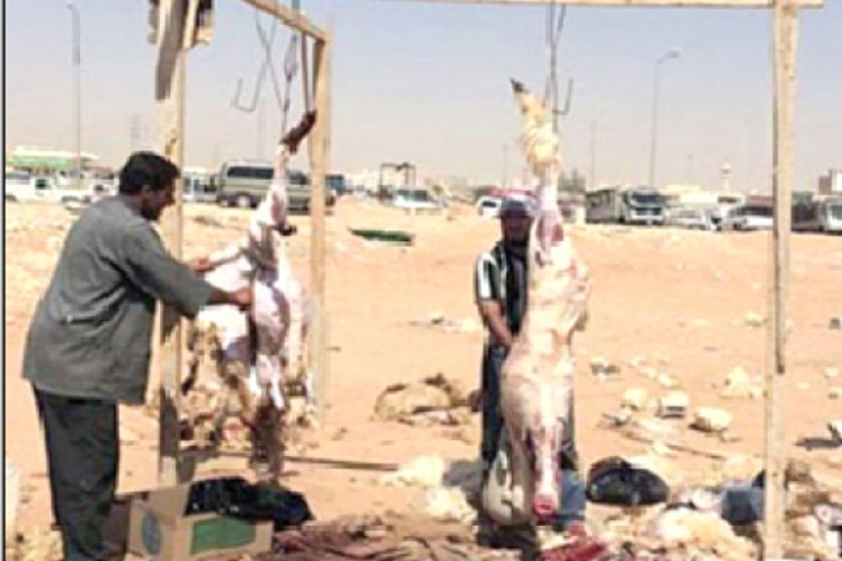 استفحال ظاهرة الذبح العشوائي للمواشي