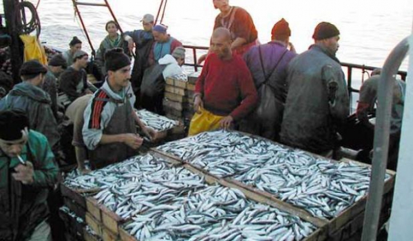 تطوير الصيد التقليدي من أولويات المخطط الخماسي المقبل