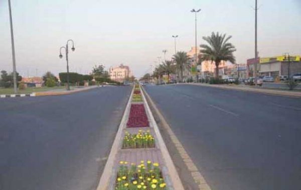 "أوديفال" تتكفل بتزيين الشريط الساحلي والطرق السريعة