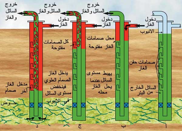 نوعية الصخور تسمح للجزائر باحتلال المرتبة الرابعة عالميا