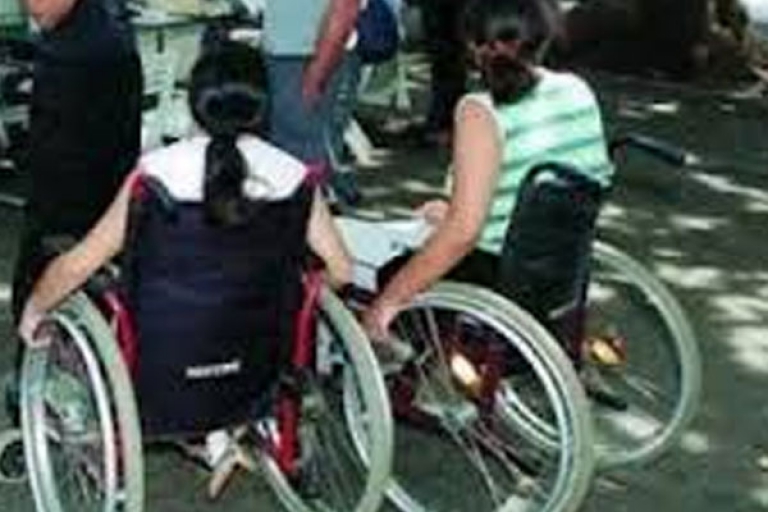 25600 معاق متكفل بهم 100 ٪ ما عدا فئة التوحد