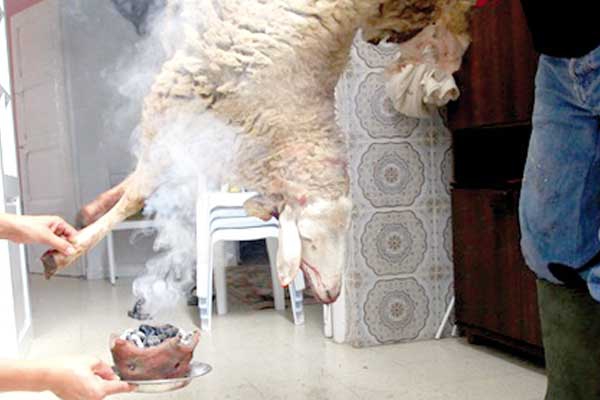 عائلات تؤمن بخرافات ارتبطت بأضحية العيد