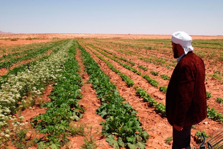 إنجاز 97 بالمائة من عقود الامتياز لفائدة الفلاحين