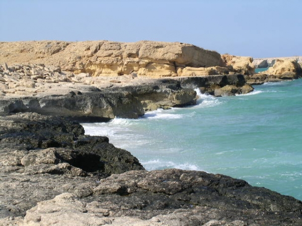 مقصد الباحثين عن "الحرمة" واستعراض العضلات