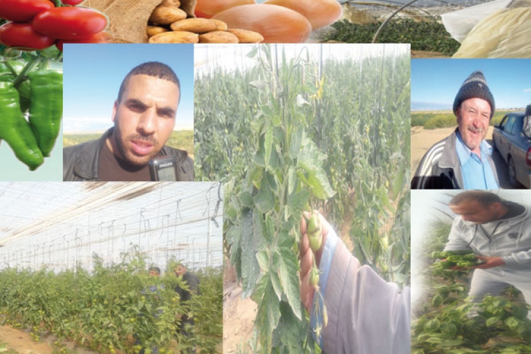 بسكرة: عزم على إطعام كل الجزائريين
