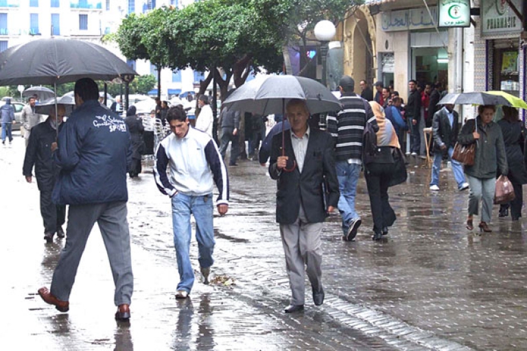 رياح قوية اليوم تميز العديد من ولايات الوطن
