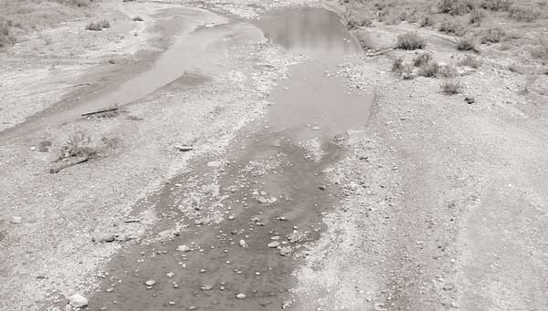الوادي