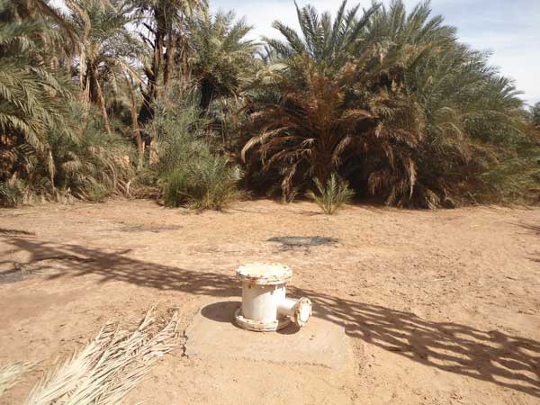 الفلاحون يرفعون التحدي في انتظار الدعم