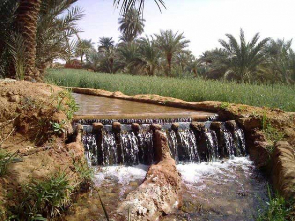 نسيب يدعو إلى المحافظة على الفقارة باعتبارها تراثا ثمينا