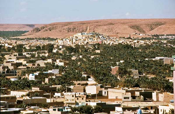 الطاقات المتجددة سلاح الإقلاع التنموي المنسجم