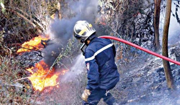 تسجيل 66 حريقا عبر الوطن وإقبال كبير على الشواطئ هروبا من الحر