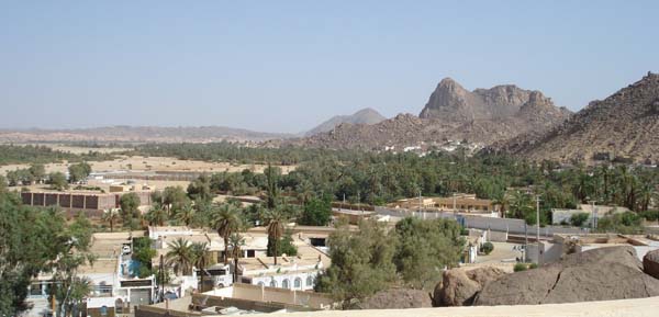 أخبار من جانت