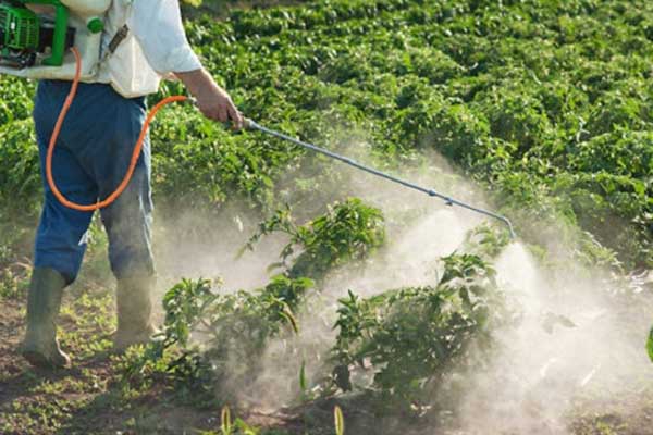 ضرورة ضبط استراتيجية وطنية لحماية المنتجات الطبيعية