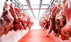 استيراد 50 ألف طن من اللحوم الحمراء وألف رأس بقر