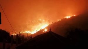 حرائق الغابات عدوان إرهابي على الجزائر الصامدة