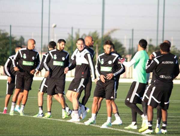 ”الكان” تنطلق اليوم بالنسبة لـ”الخضر” وغوركوف يتنفس الصعداء