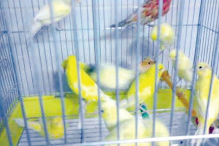 استثمار ذاتي يتطلب الوقت والجهد