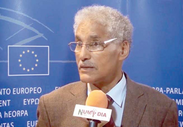 ميلاد المجموعة المشتركة الأوروبية من أجل الصحراء الغربية