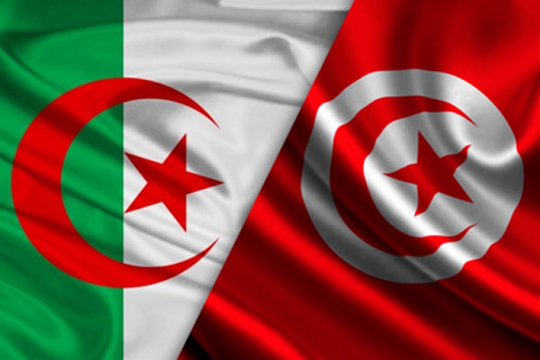 «الجزائر الوحيدة التي تقف إلى جانب تونس في محنتها»