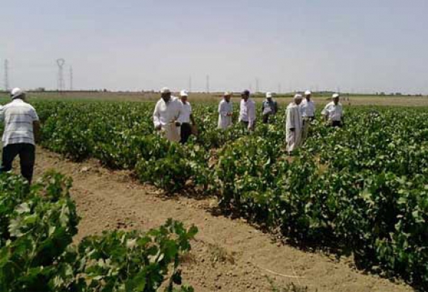 518 عملية ينتظر تجسيدها خلال الخماسي القادم