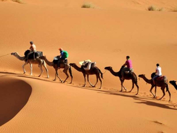 70 مشروعا سيستلم قبل نهاية السنة