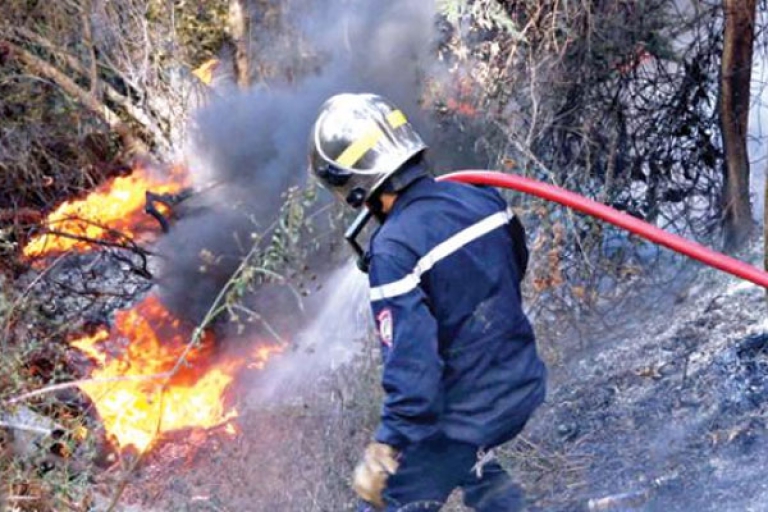 أكثر من 6.700 هكتار أتلفتها النيران منذ الفاتح جويلية