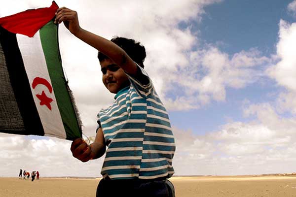 مطالب بتمكين الصحراويين من ممارسة حقهم في تقرير المصير