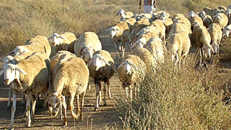 الجزائر تعرض تجربتها وتبحث عن فرص للشراكة