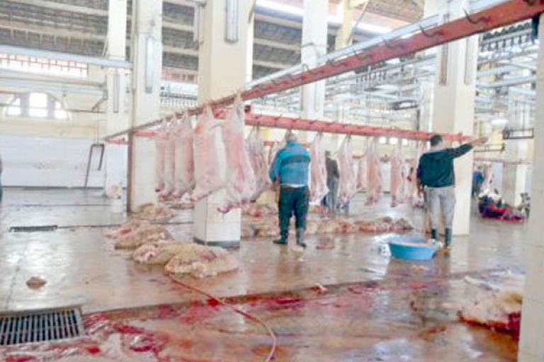 منتخبون يطالبون بإيجاد بديل لمذبح «رويسو»