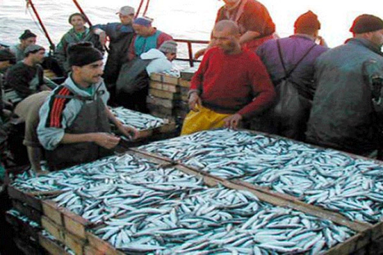 5 مشاريع استثمارية لتربية السمك بالطارف