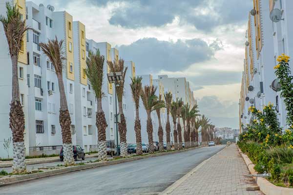 برنامج جديد لإنجاز 30 ألف وحدة سكن ”عدل”