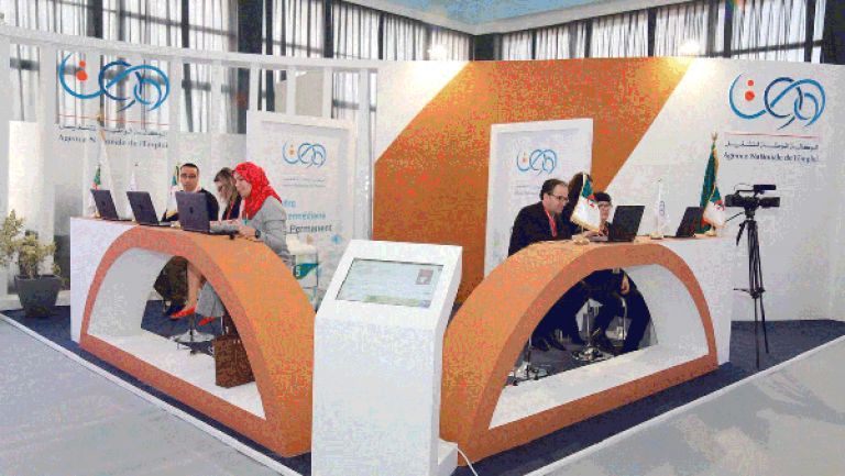 تنصيب 16 ألف شاب في مناصب عمل خلال 10 أشهر