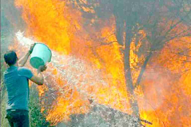 إحصاء 3100 فلاح متضرر من الحرائق في تيزي وزو