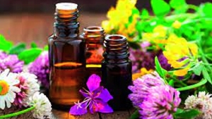 استثمار واعد يستقطب الباحثين والمختصين بالبليدة