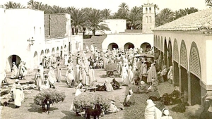 مدينة طولقة