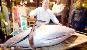 أضخم سمكة تونة بـ36 مليون ين