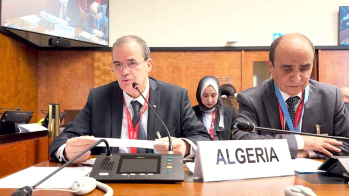 الجزائر تدعّم التنمية الإفريقية عبر مشاريع كبرى