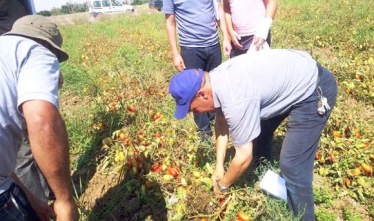 المراهنة على تحقيق مردود ذي نوعية جيدة