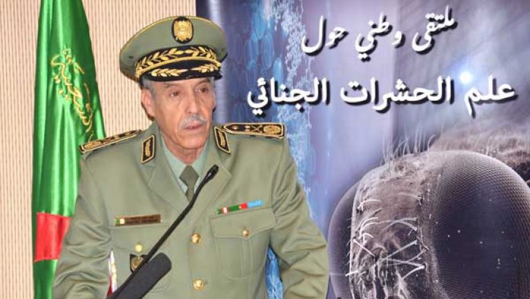 إسهام بيولوجيا الحشرات الرمية في علم الحشرات الجنائي