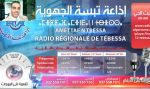 فقرات من وحي الوباء، وبعضا من الشعر والأدب
