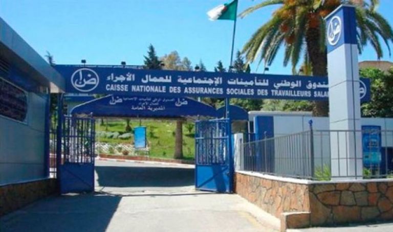 "كناس" يتبنّى خطة ثلاثية لمعالجة الظاهرة