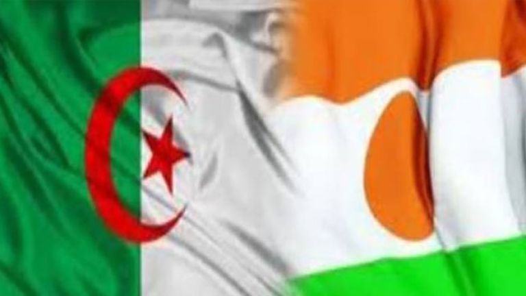 انعقاد الدورة السابعة للجنة الحدودية الجزائرية-النيجرية