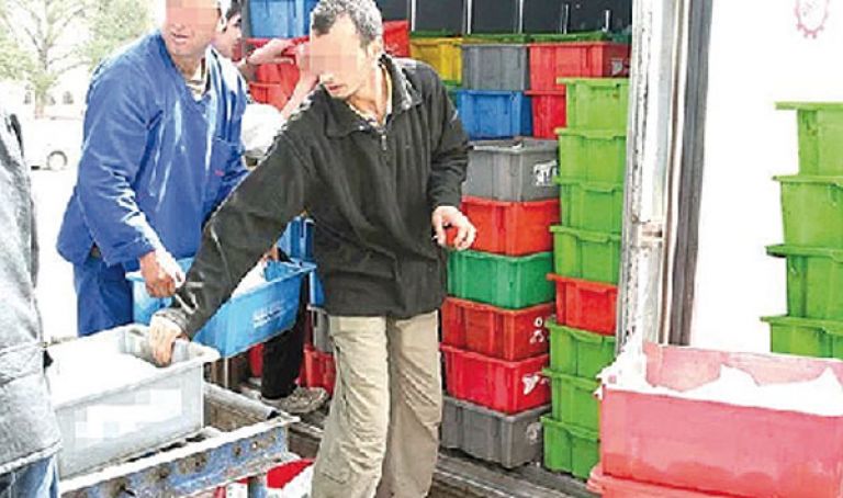 «جيبلي» يرفض التعامل مع موزعي الحليب بالعاصمة