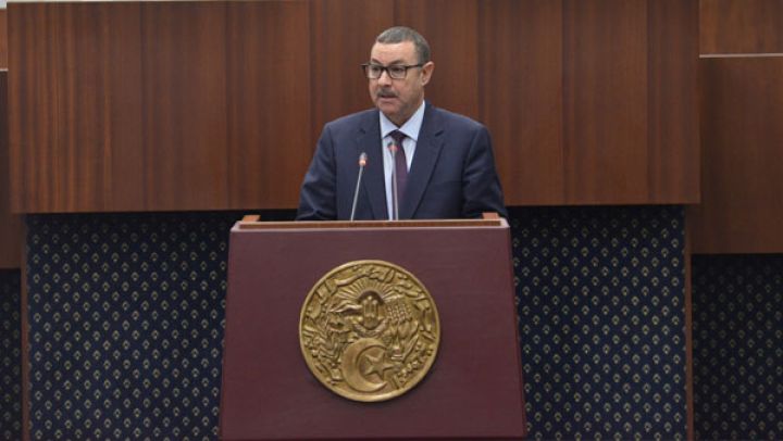 وضع الموانئ الجافة تحت تصرف المؤسسات المينائية